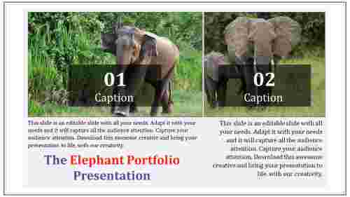 powerpoint portfolio template-The Elephant portfolio presentation